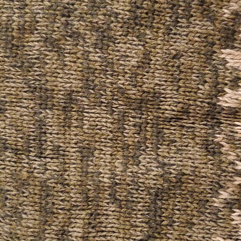 Cardigan - Picture 8 of 11